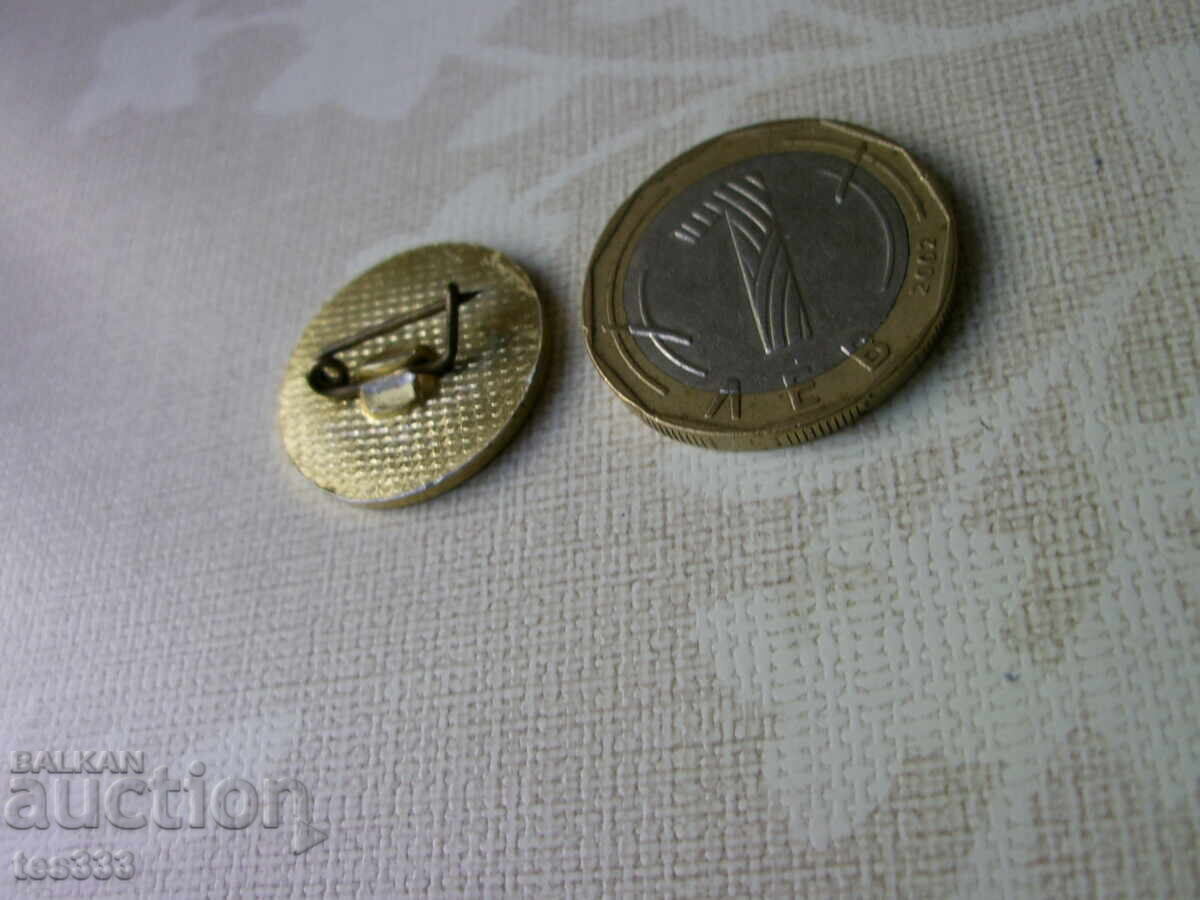 Insigna Intercosmos - 6 Insigna Intercosmos - 6