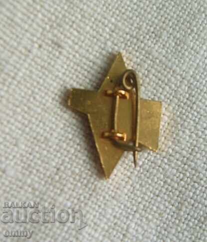 Badge - Volleyball Federation of Albania with price 5.00 BGN | € 2.56 Badge - Volleyball Federation of Albania with price 5.00 BGN | € 2.56