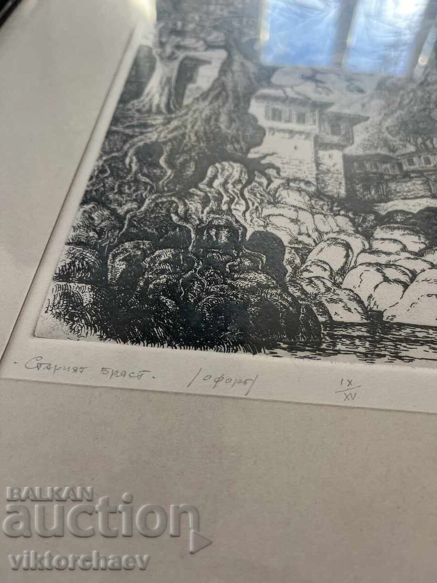 Bozhidar Georgiev painting - “The Old Elm” 1997 with price 170.00 BGN | € 86.92