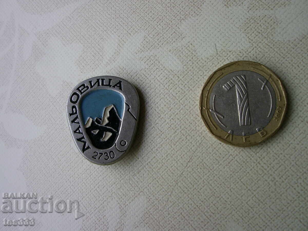 Auction  Badge Malyovitsa 2730