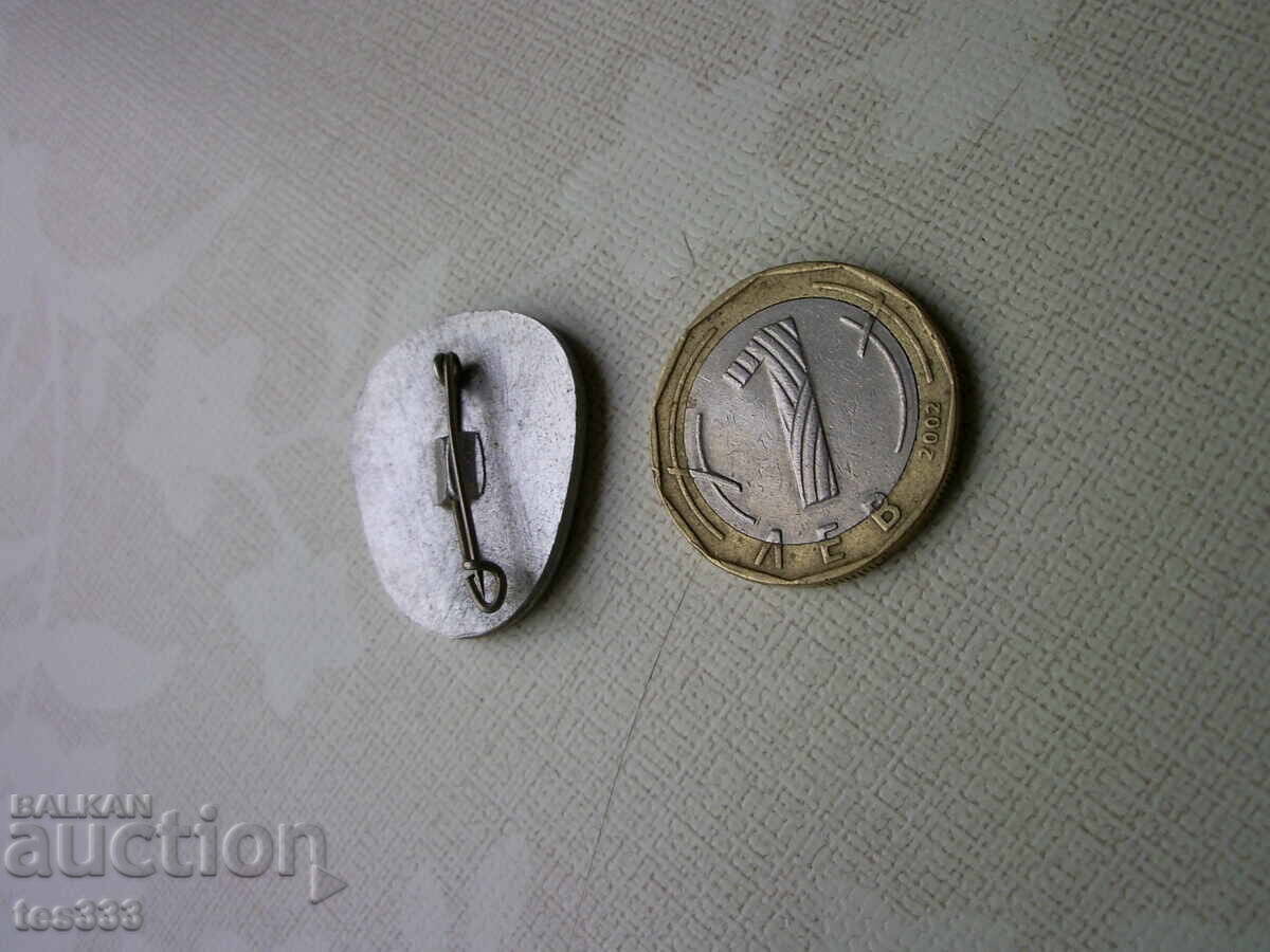 Badge Malyovitsa 2730 - 5