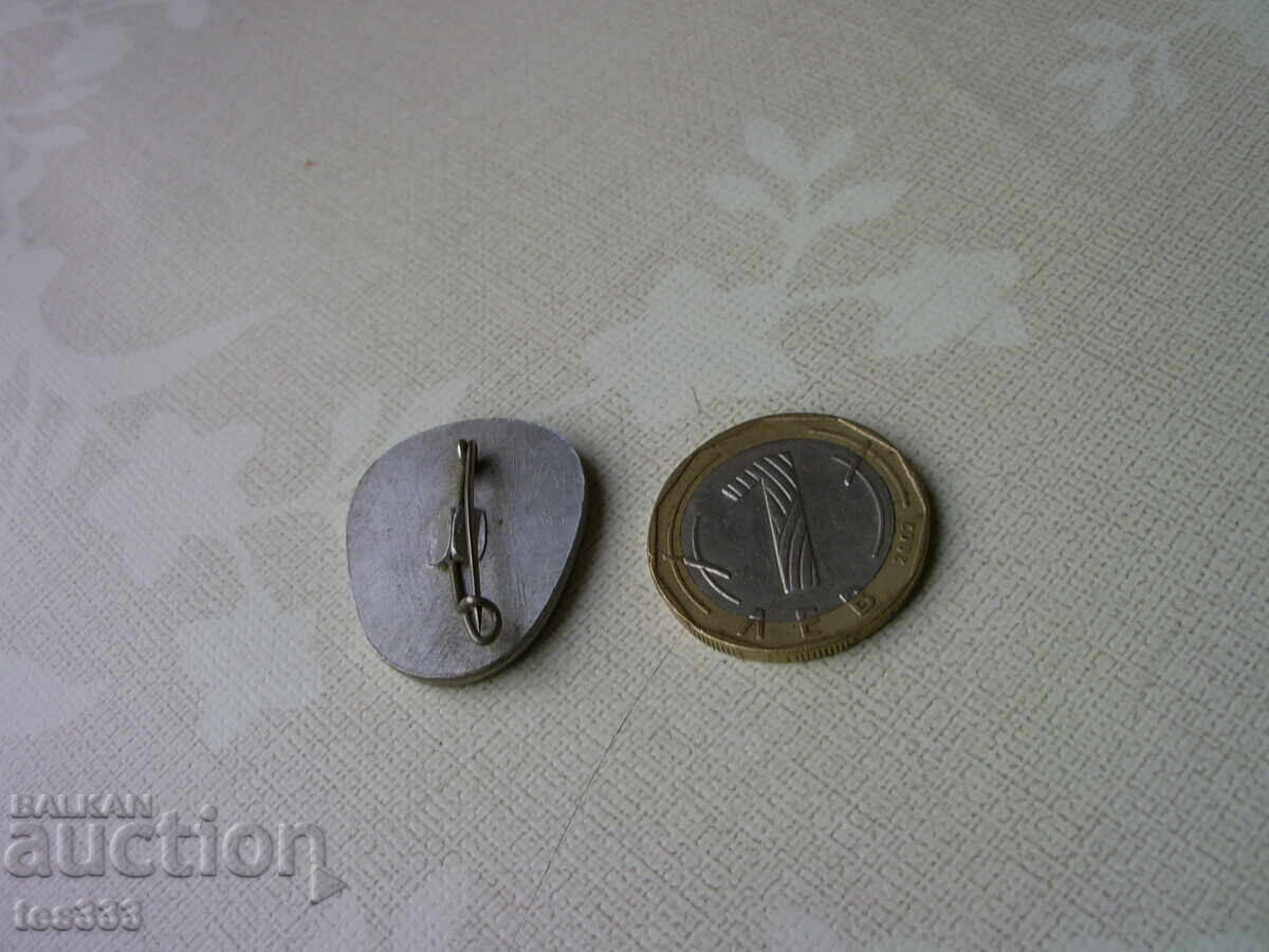 Badge Malyovitsa 2730 - 6