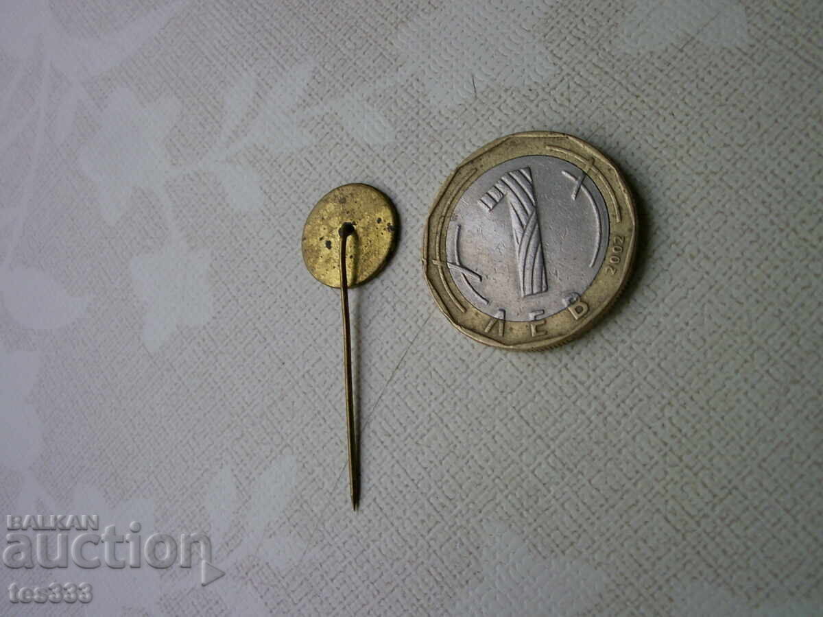 Бронзова значка 25 години СФД Академик - 5 Бронзова значка 25 години СФД Академик - 5