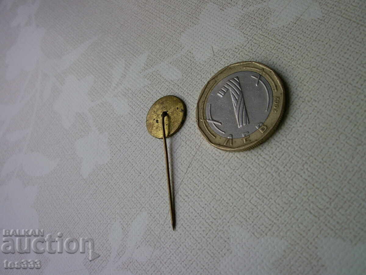 Бронзова значка 25 години СФД Академик - 6 Бронзова значка 25 години СФД Академик - 6