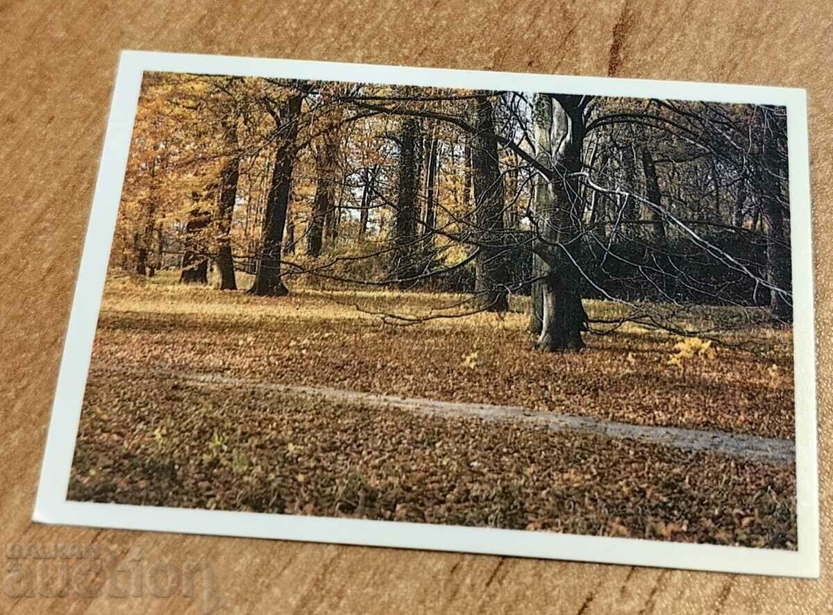 отлевче СОЦ КАЛЕНДАРЧЕ КАЛЕНДАР