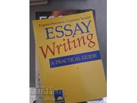 ESSAY Writing