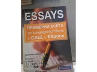 Essays sample essays for application in the USA and Europe