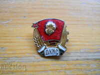 Old "DKMS" badge (bronze / enamel)