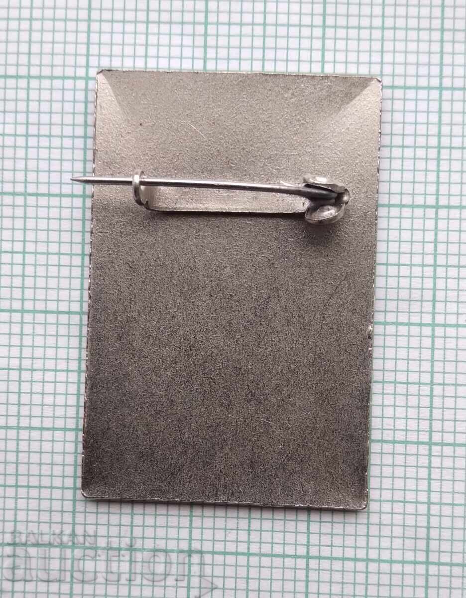 Аукцион 17686 Значка