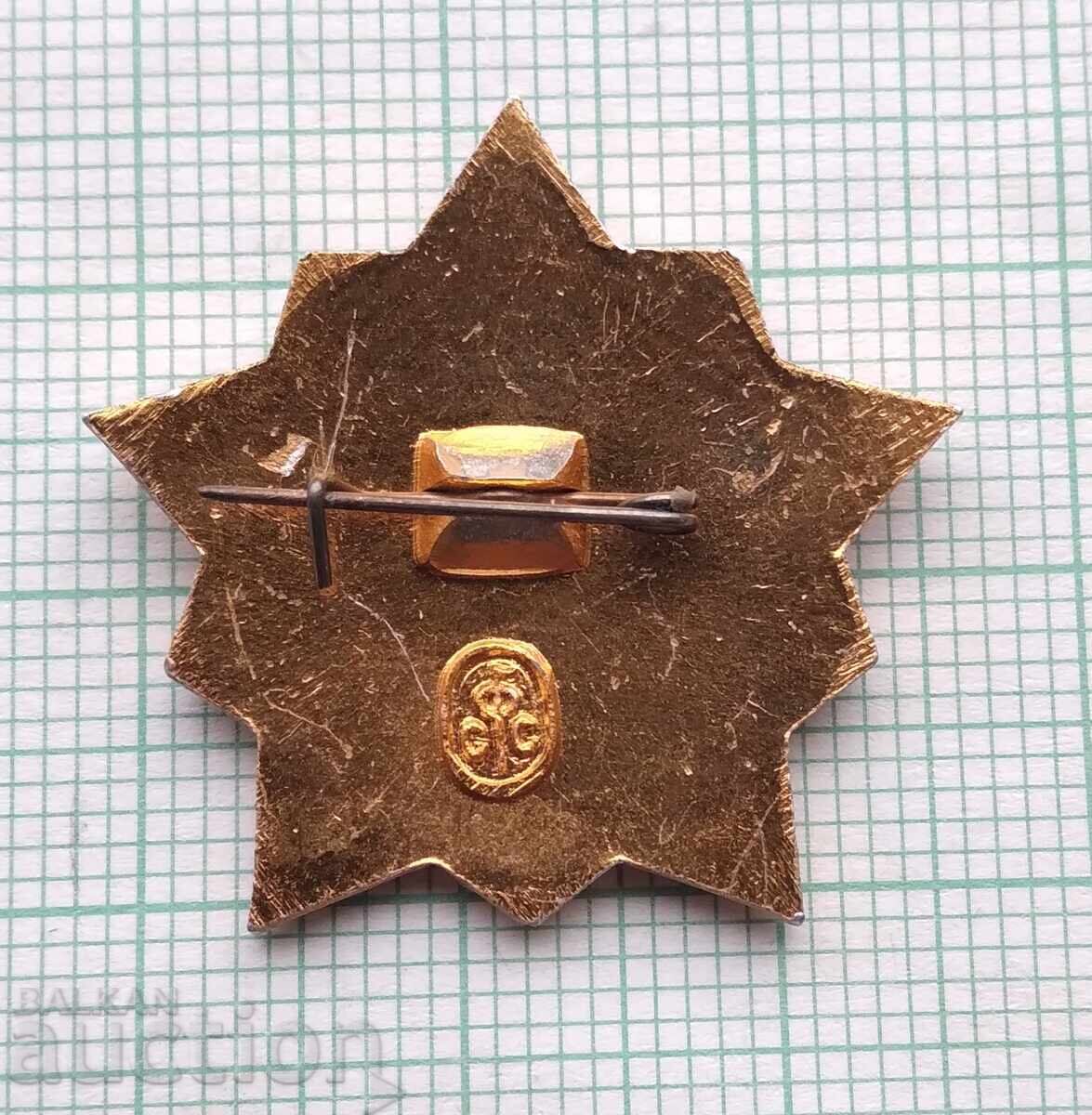 Auction  17695 Badge - Warrior sportsman 2nd rank USSR
