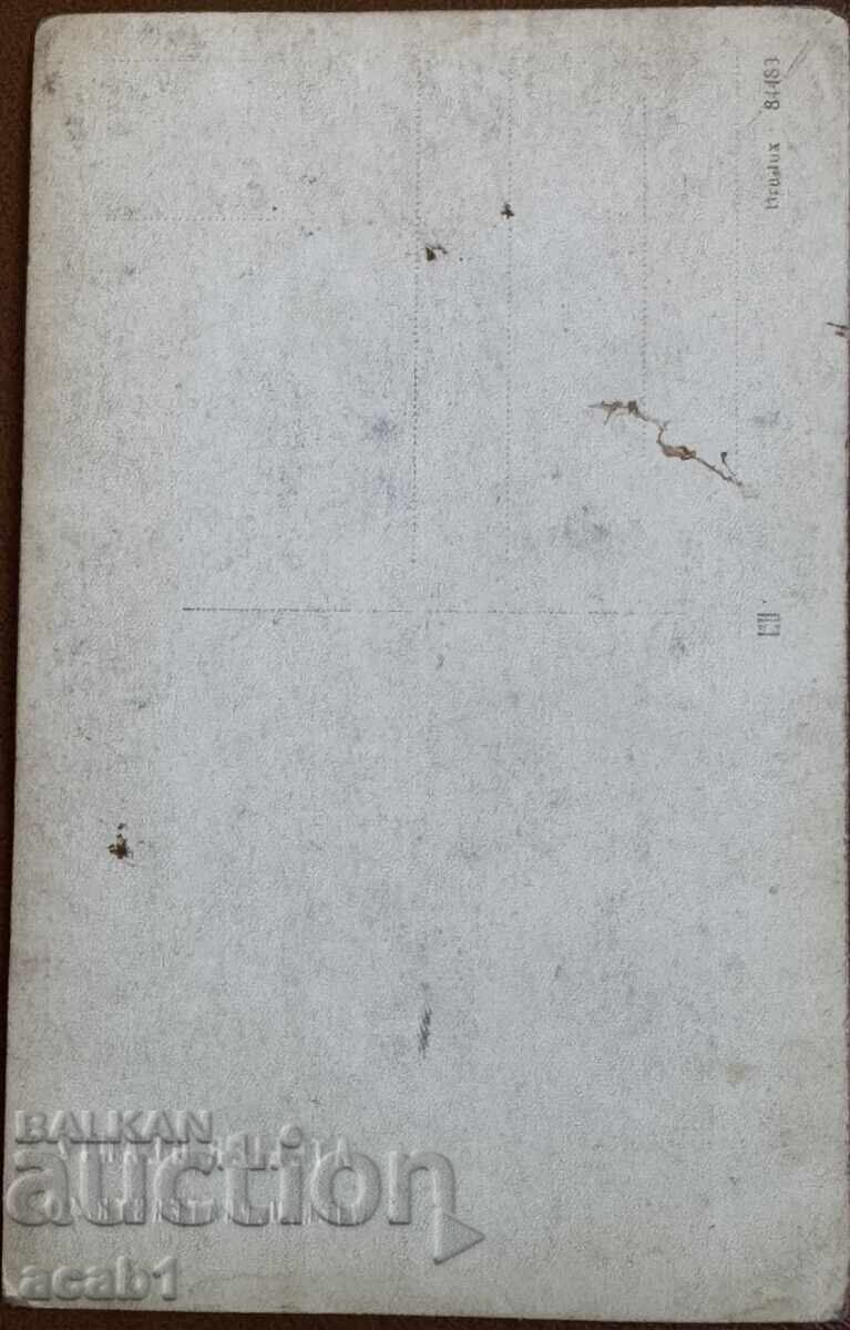 Circus artists Vienna - 5 Circus artists Vienna - 5