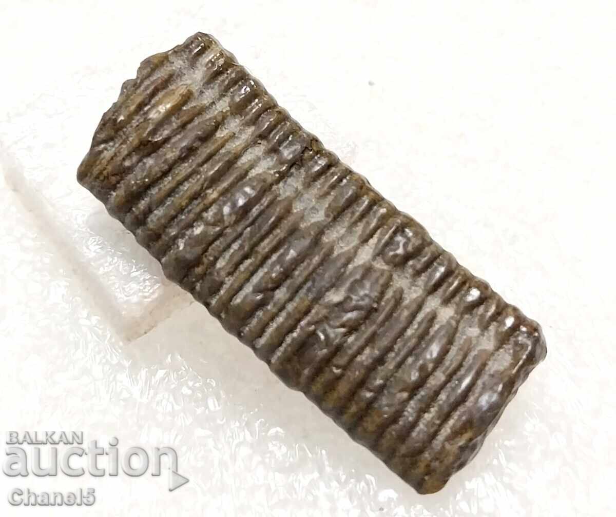 ΑΠΟΛΥΘΩΣΗ - FOSSIL CRINOID 400 MILL. έτος (680) με τιμή 9.90 BGN | € 5.06 ΑΠΟΛΥΘΩΣΗ - FOSSIL CRINOID 400 MILL. έτος (680) με τιμή 9.90 BGN | € 5.06