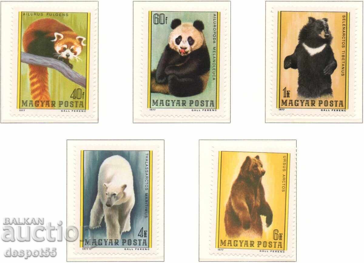 1977. Ουγγαρία. Αρκούδες. 1977. Ουγγαρία. Αρκούδες.