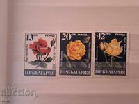 Bulgaria 1985 Bulgarian roses