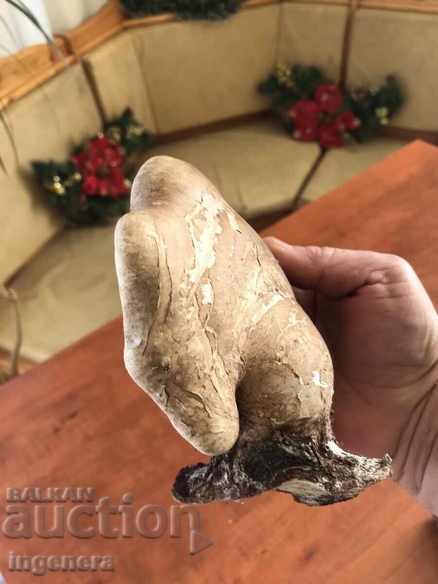 NATURAL DRY WOODEN SPONGE FOR DECORATION - 7 NATURAL DRY WOODEN SPONGE FOR DECORATION - 7