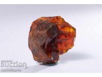 Baltic amber 15.2g #19