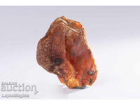 Baltic amber 12.1g #20