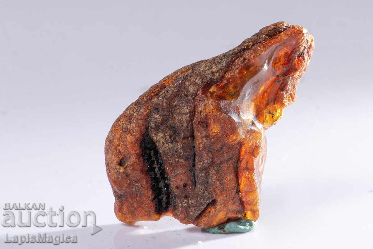 Baltic amber 11.5g #27 Baltic amber 11.5g #27