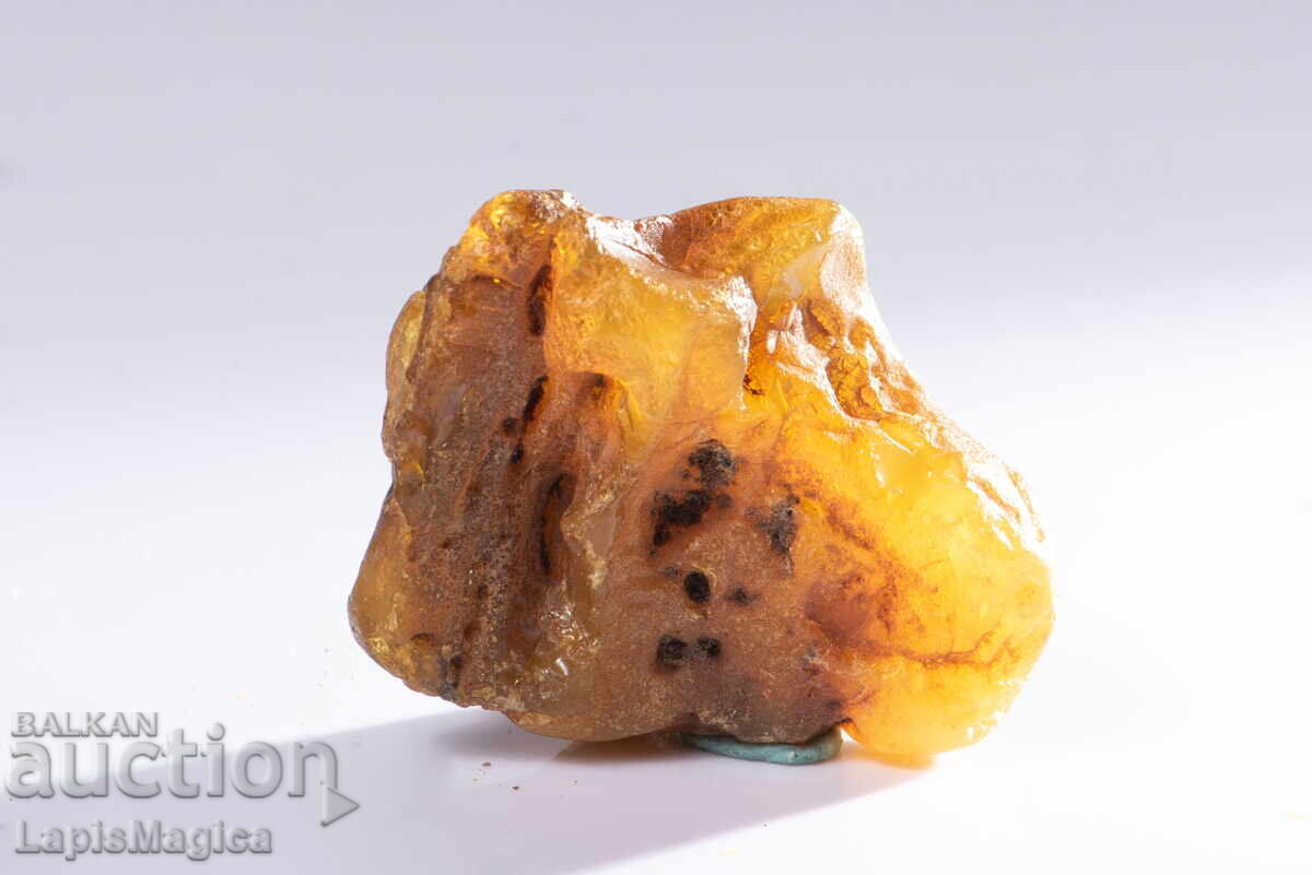 Baltic amber 13.8g #28 Baltic amber 13.8g #28