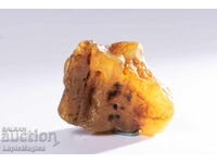 Baltic amber 13.8g #28