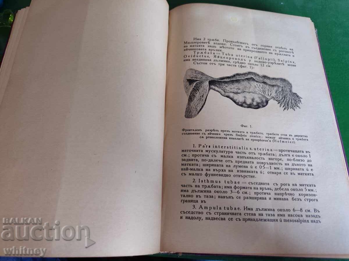 Auction Fundamentals of Gynecology 1939-1942 Auction Fundamentals of Gynecology 1939-1942