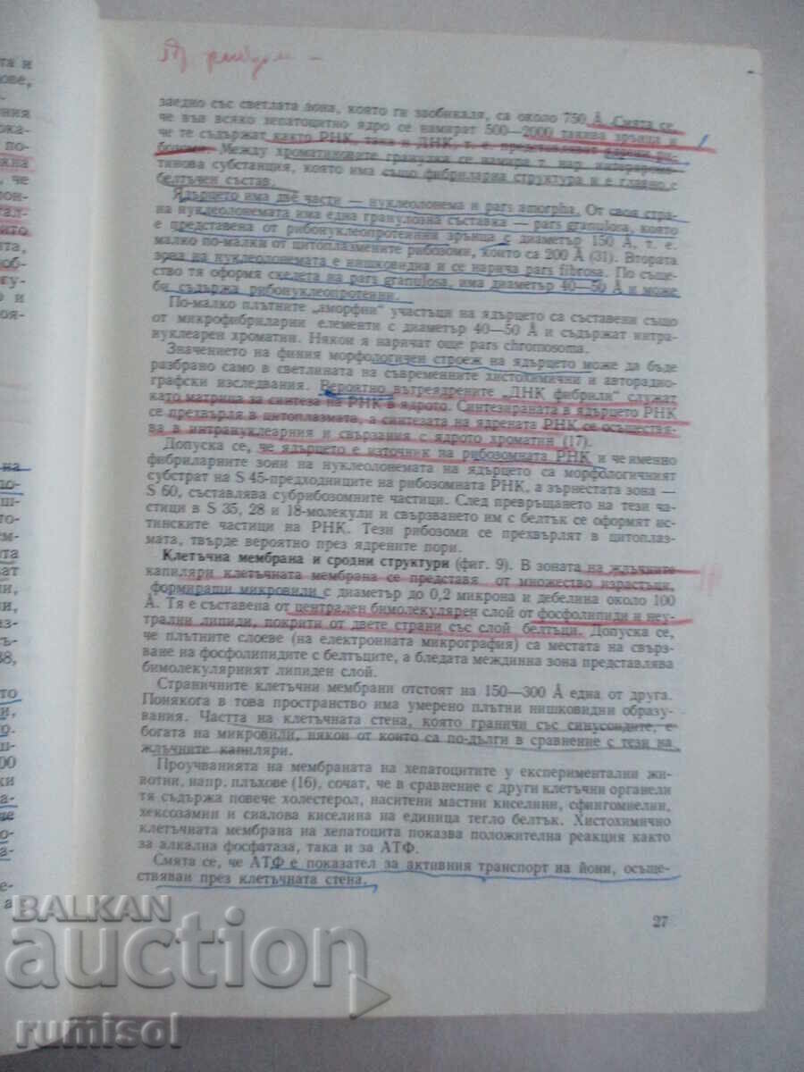 Аукцион Болести на черния дроб и жлъчните пътища - Ташо Ташев