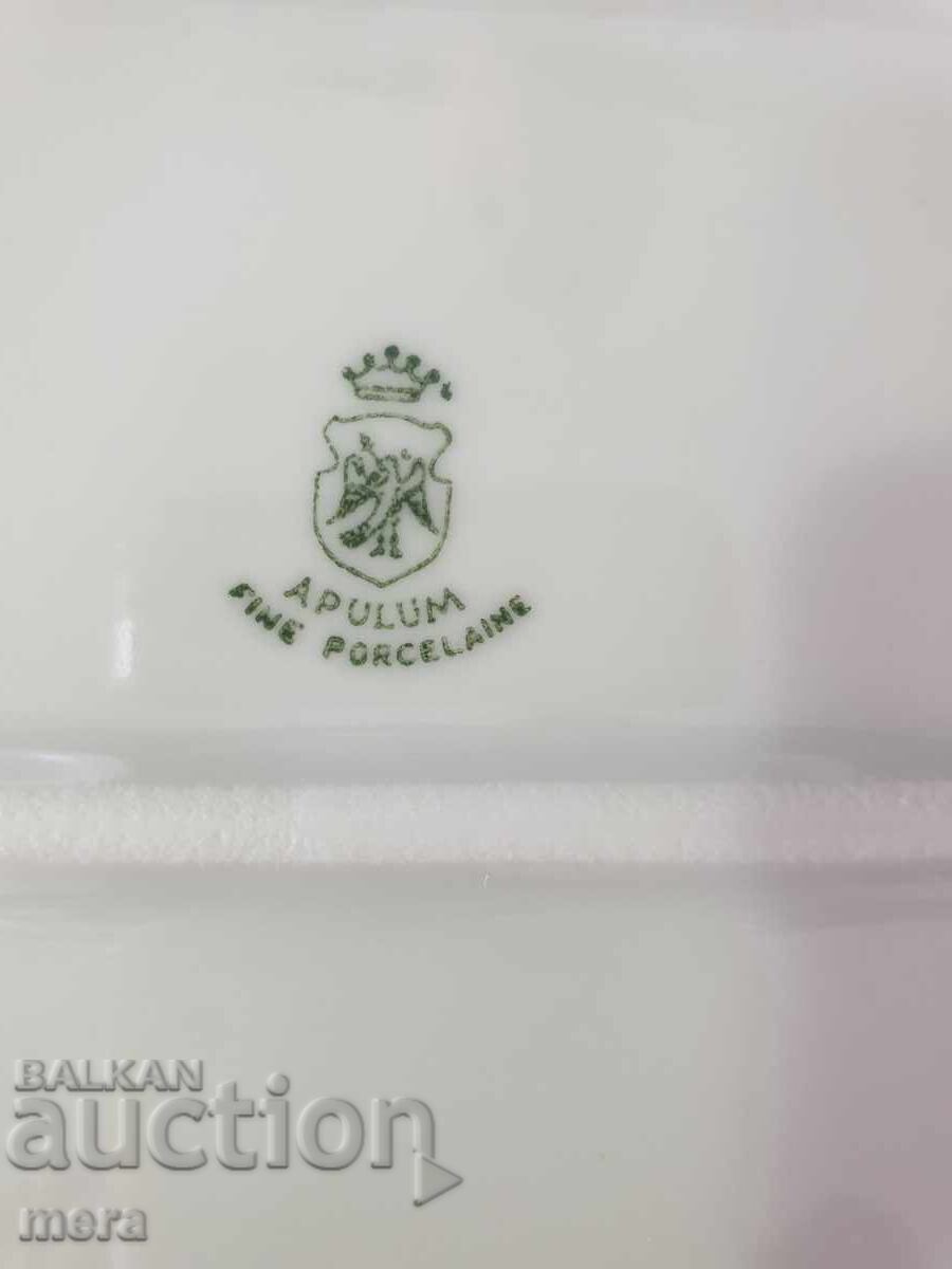 Apulum fine porcelain porcelain plate set - 7