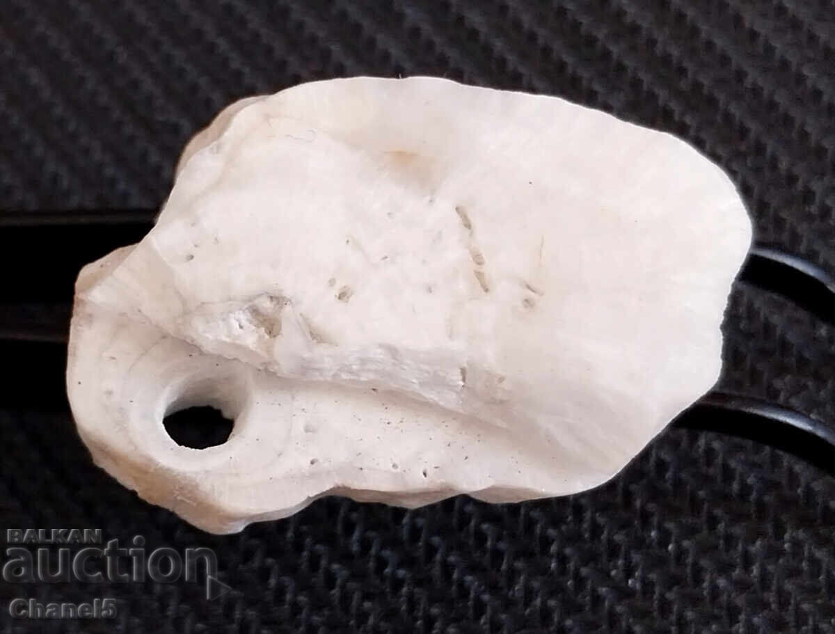 STALACTITE SECTION - DUHLATA CAVE, COLLECTIBLE (417) with price 19.90 BGN | € 10.17 STALACTITE SECTION - DUHLATA CAVE, COLLECTIBLE (417) with price 19.90 BGN | € 10.17