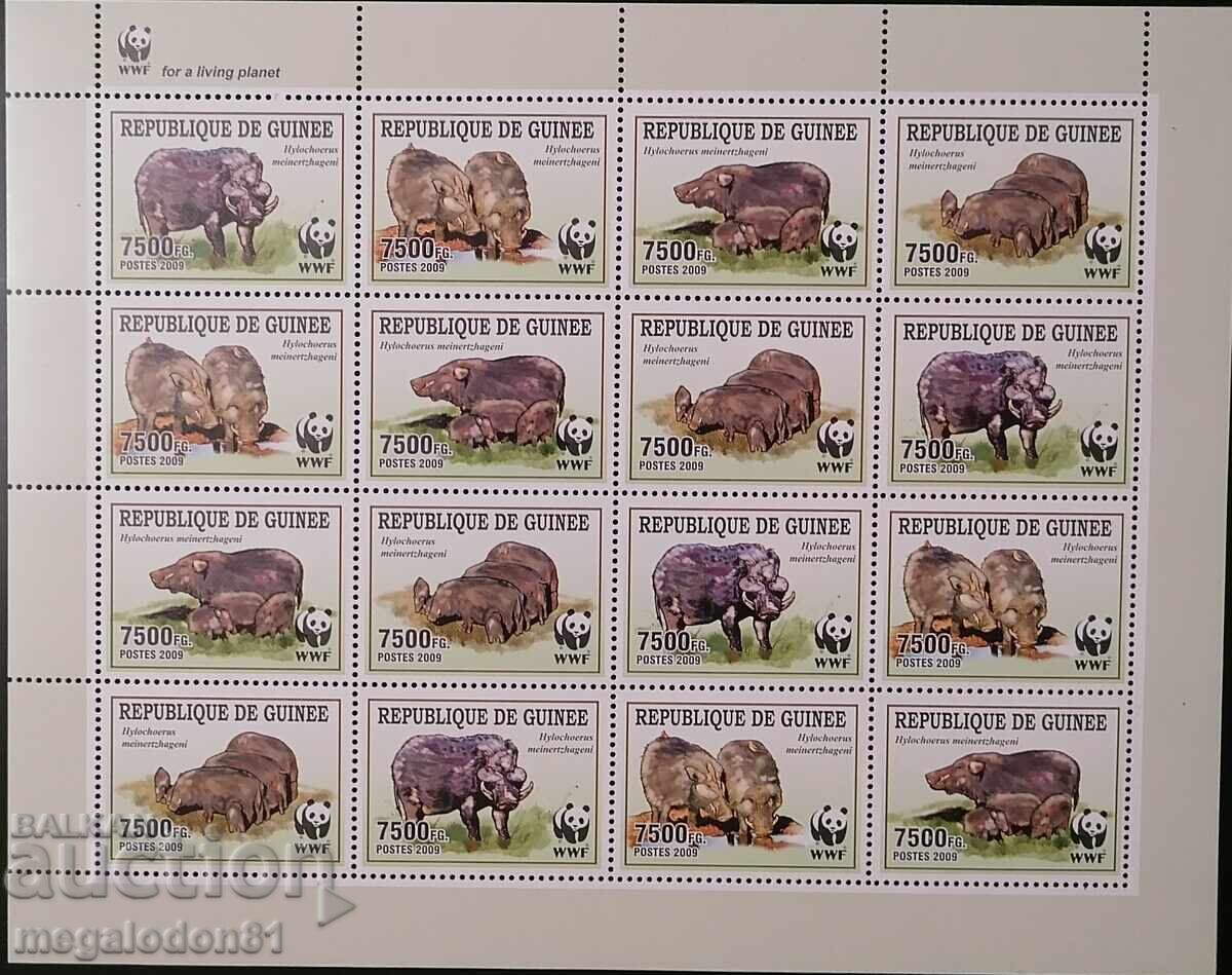 Rep. Guinea - WWF fauna, warthog Rep. Guinea - WWF fauna, warthog