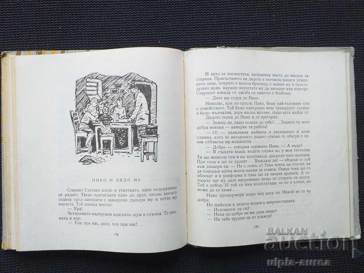 Auction  Social Children's Book