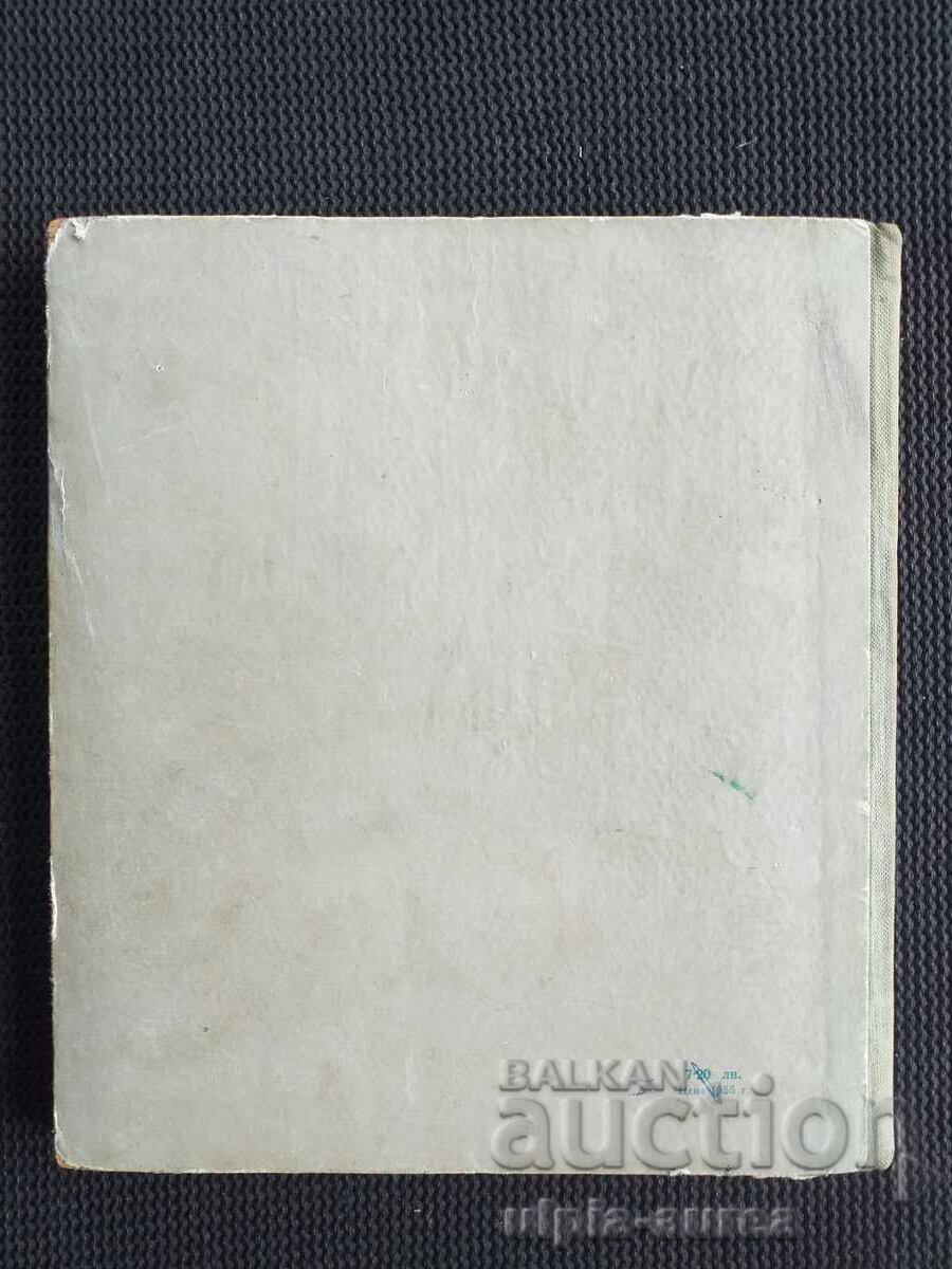 Social Children's Book - 5