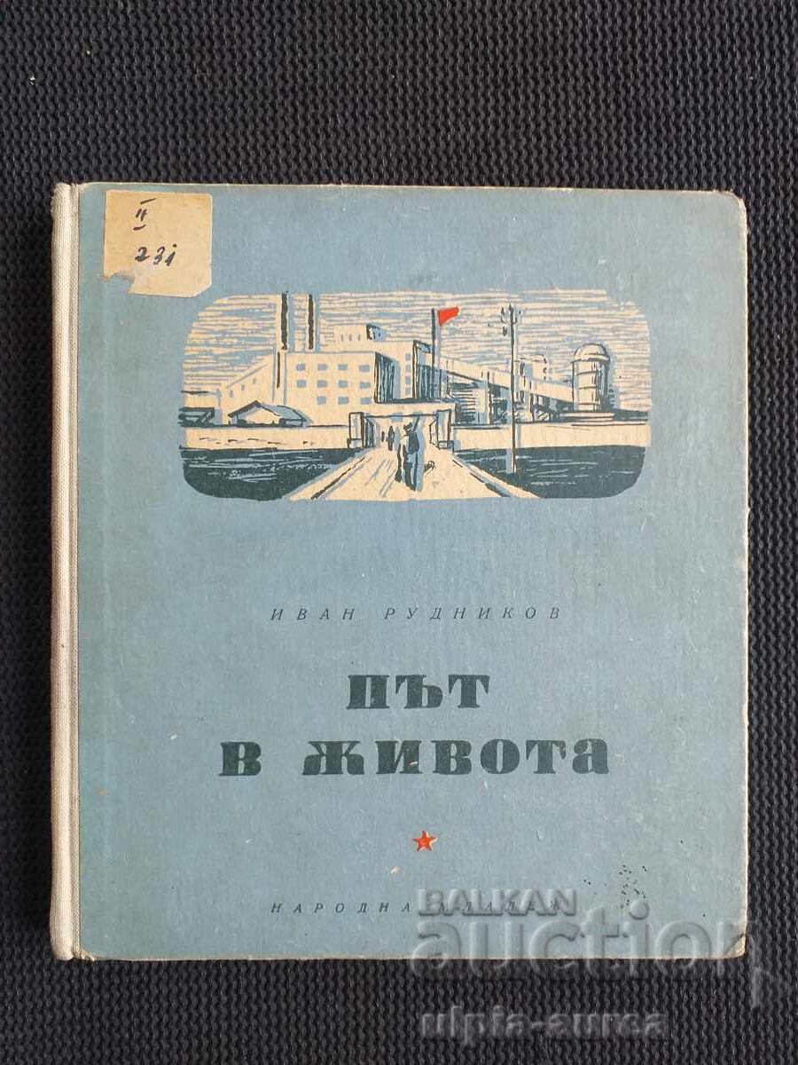 Social Children's Book