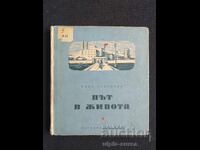 Social Children's Book