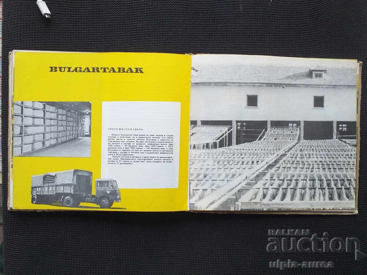 Carte socială pentru copii - 5