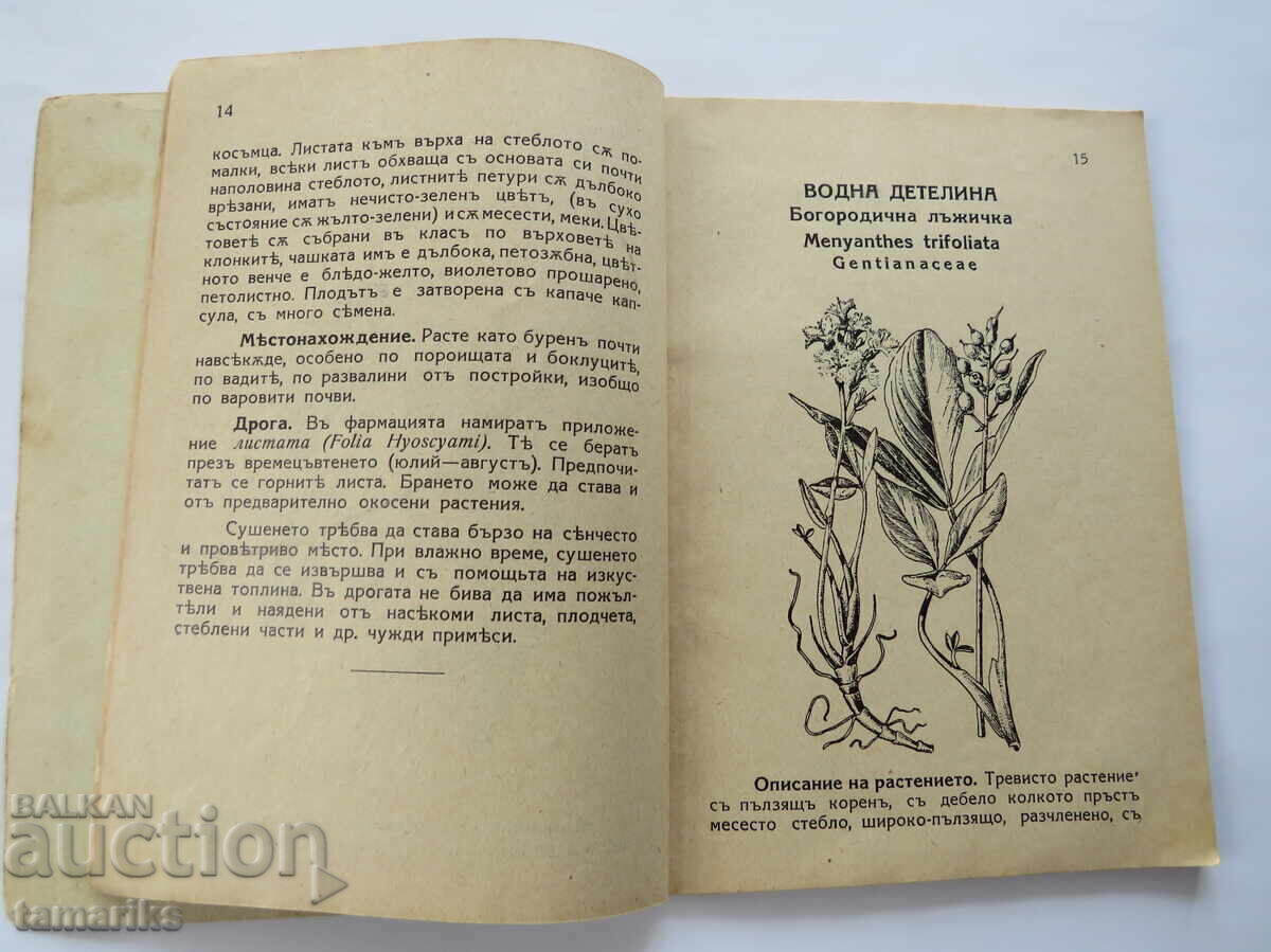 Δημοπρασία ΟΔΗΓΟΣ ΣΥΛΛΟΓΗΣ ΦΑΡΜΑΚΕΥΤΙΚΩΝ ΦΥΤΩΝ-1939