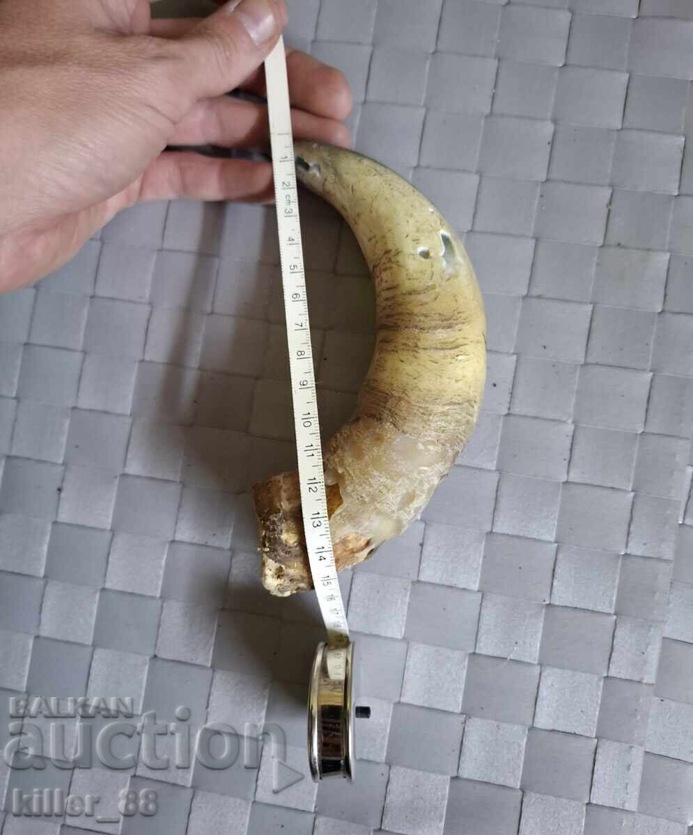 Rog with price 15.00 BGN | € 7.67 Rog with price 15.00 BGN | € 7.67