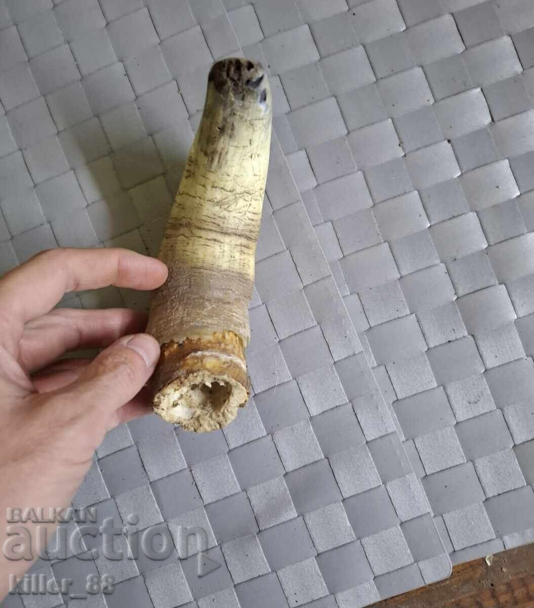 Delivery of Rog Delivery of Rog