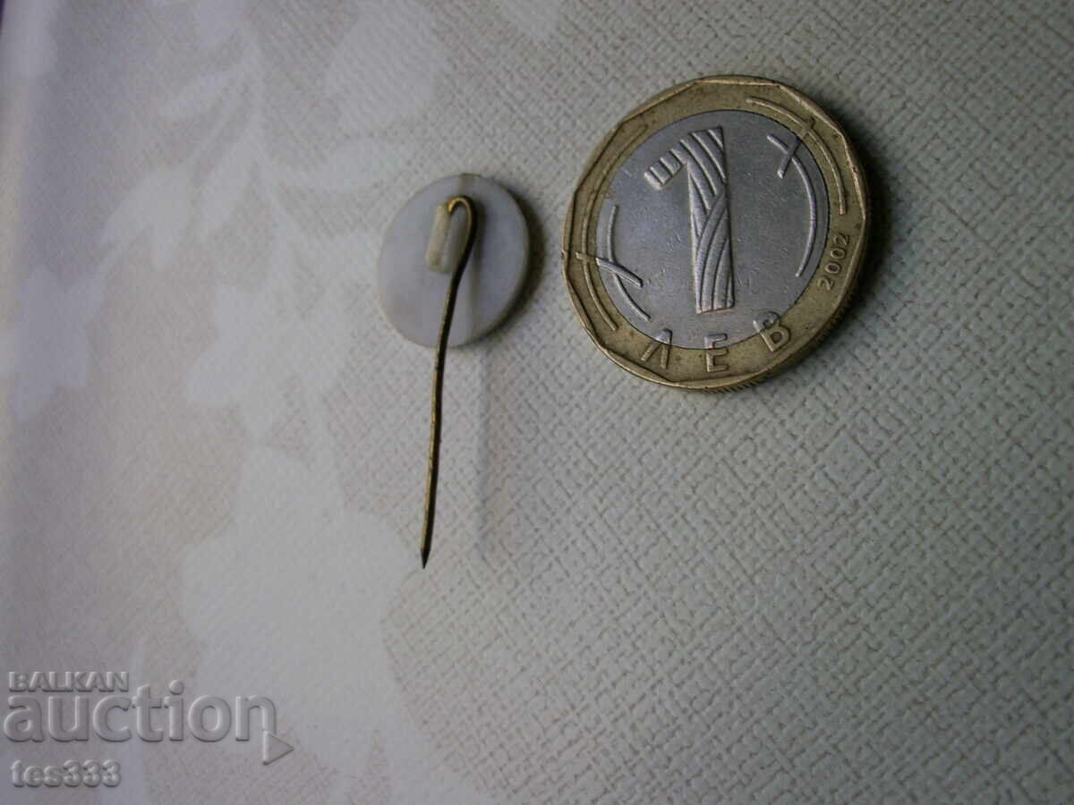 Значка Празник на цветята благоевски район София с цена € 0.77 | 1.51 лв.