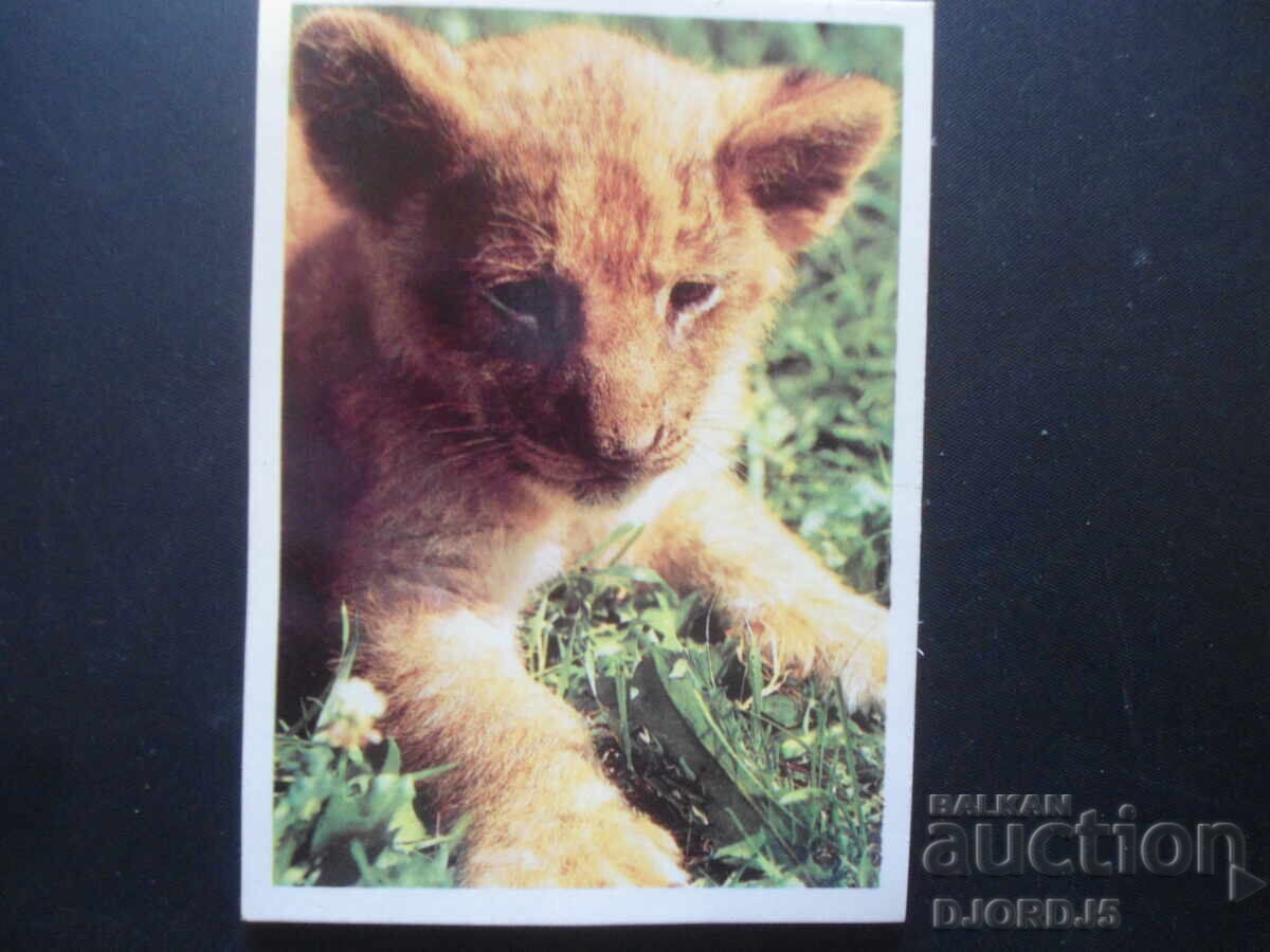 Old calendar, Moscow 1990 Old calendar, Moscow 1990