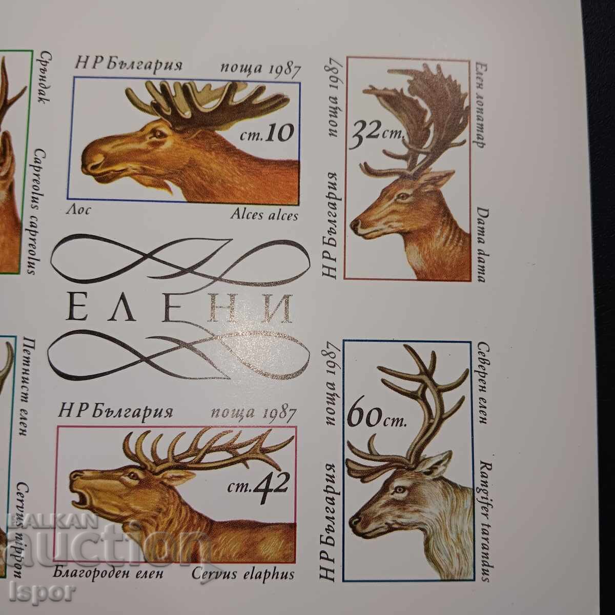 Δημοπρασία Η Βουλγαρία είναι ένα καθαρό μπλοκ Δημοπρασία Η Βουλγαρία είναι ένα καθαρό μπλοκ