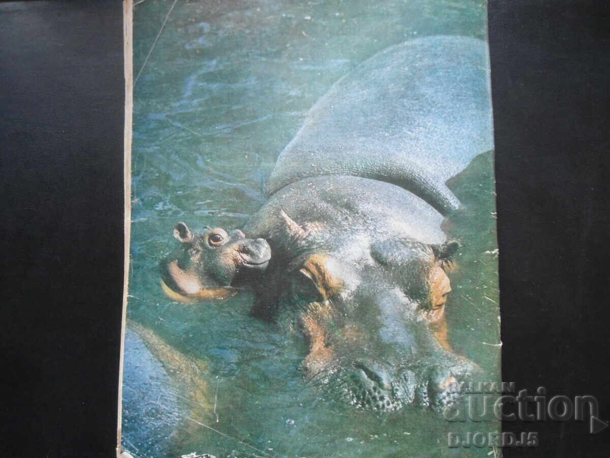 Auction "Cosmos" magazine, issue 5, 1976. Auction "Cosmos" magazine, issue 5, 1976.