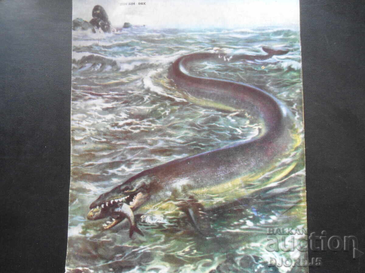 Auction "Cosmos" magazine, issue 6, 1982. Auction "Cosmos" magazine, issue 6, 1982.