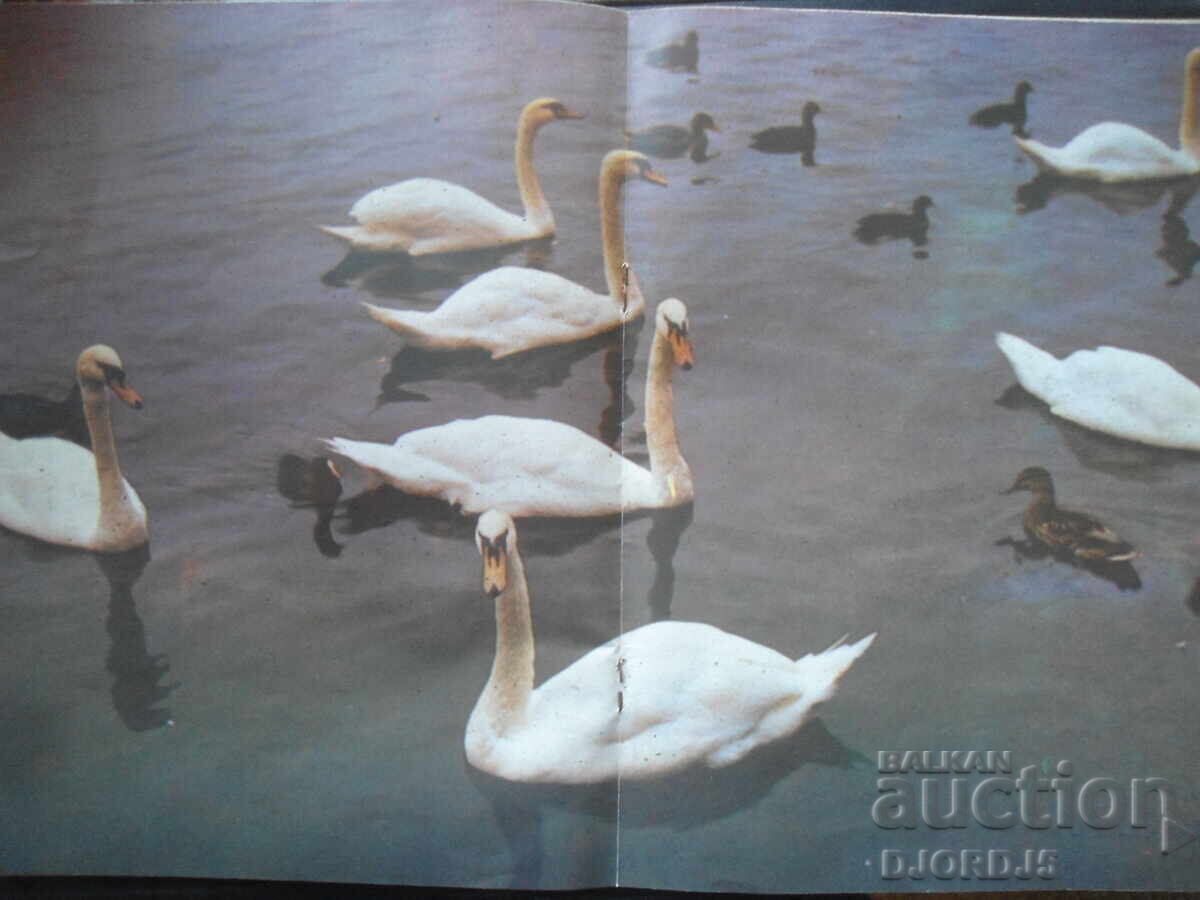 "HUNTING and FISHING" magazine, issue 9, 1989 - 5