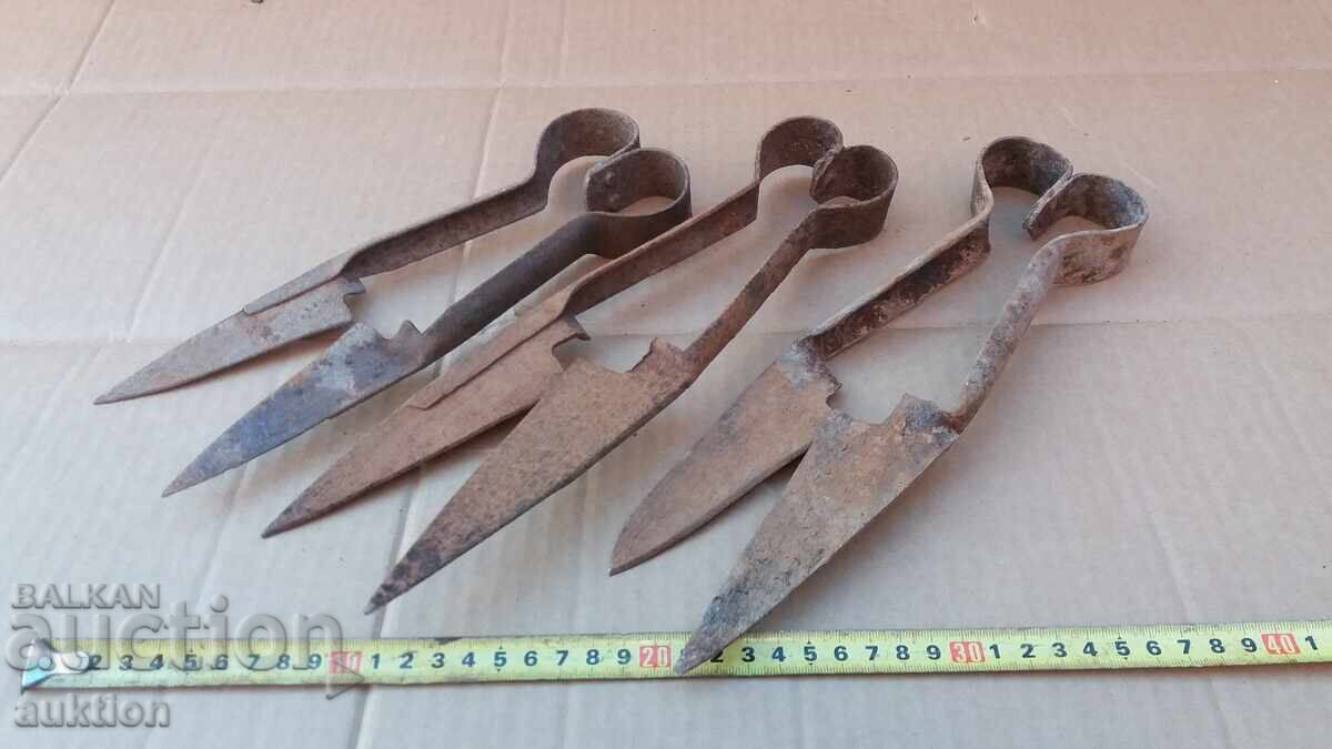 lot of 3 sheep shearing scissors - 5 lot of 3 sheep shearing scissors - 5