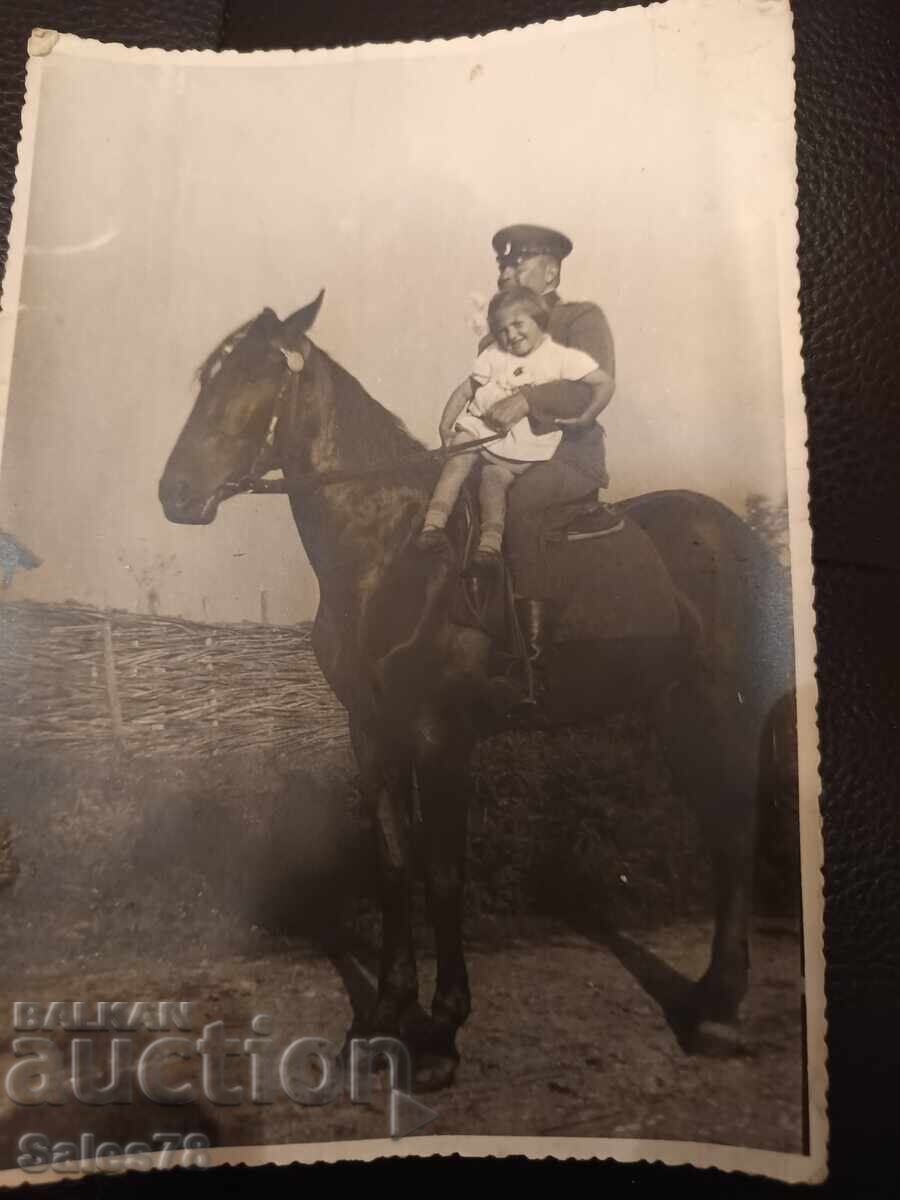 Vechi cal de război foto militar Vechi cal de război foto militar