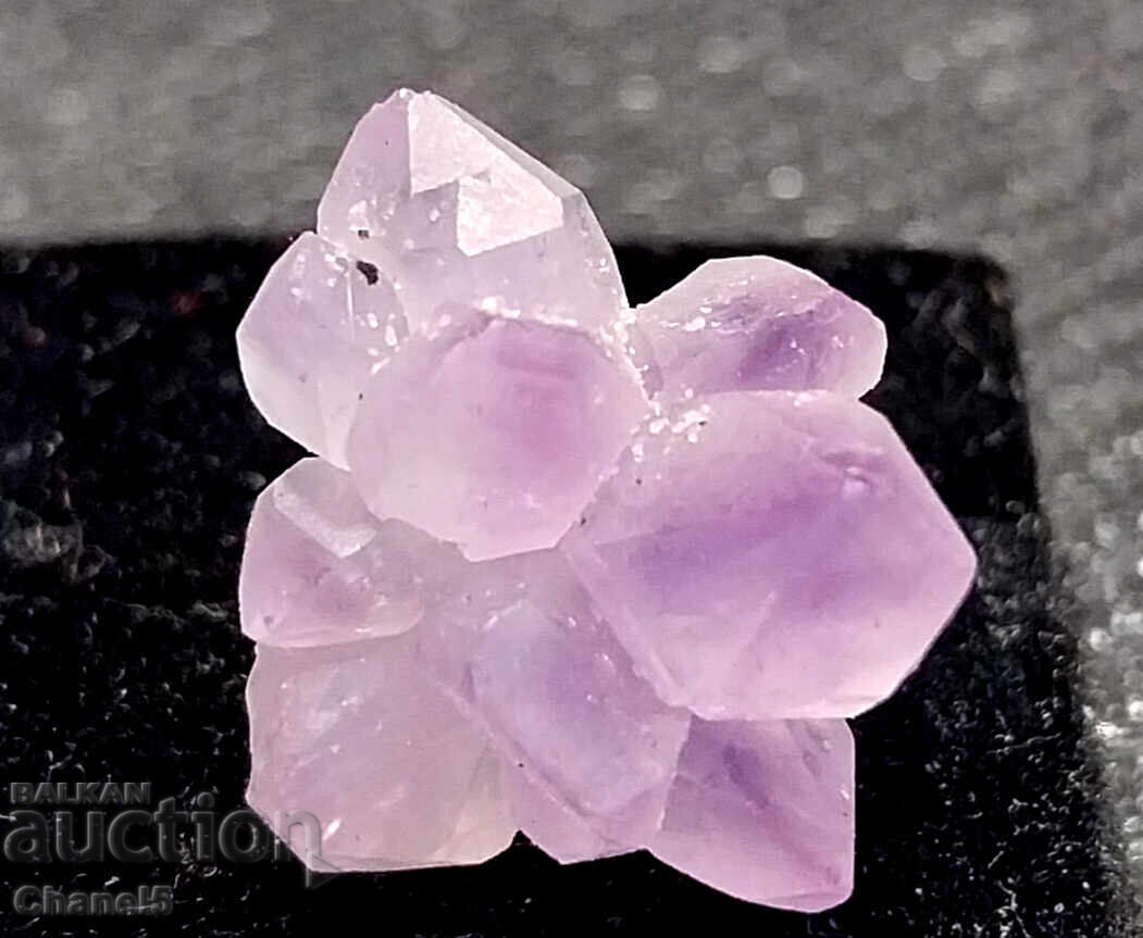 Auction GENTLE AMETHYST CRYSTALS FORMATION - (681) Auction GENTLE AMETHYST CRYSTALS FORMATION - (681)