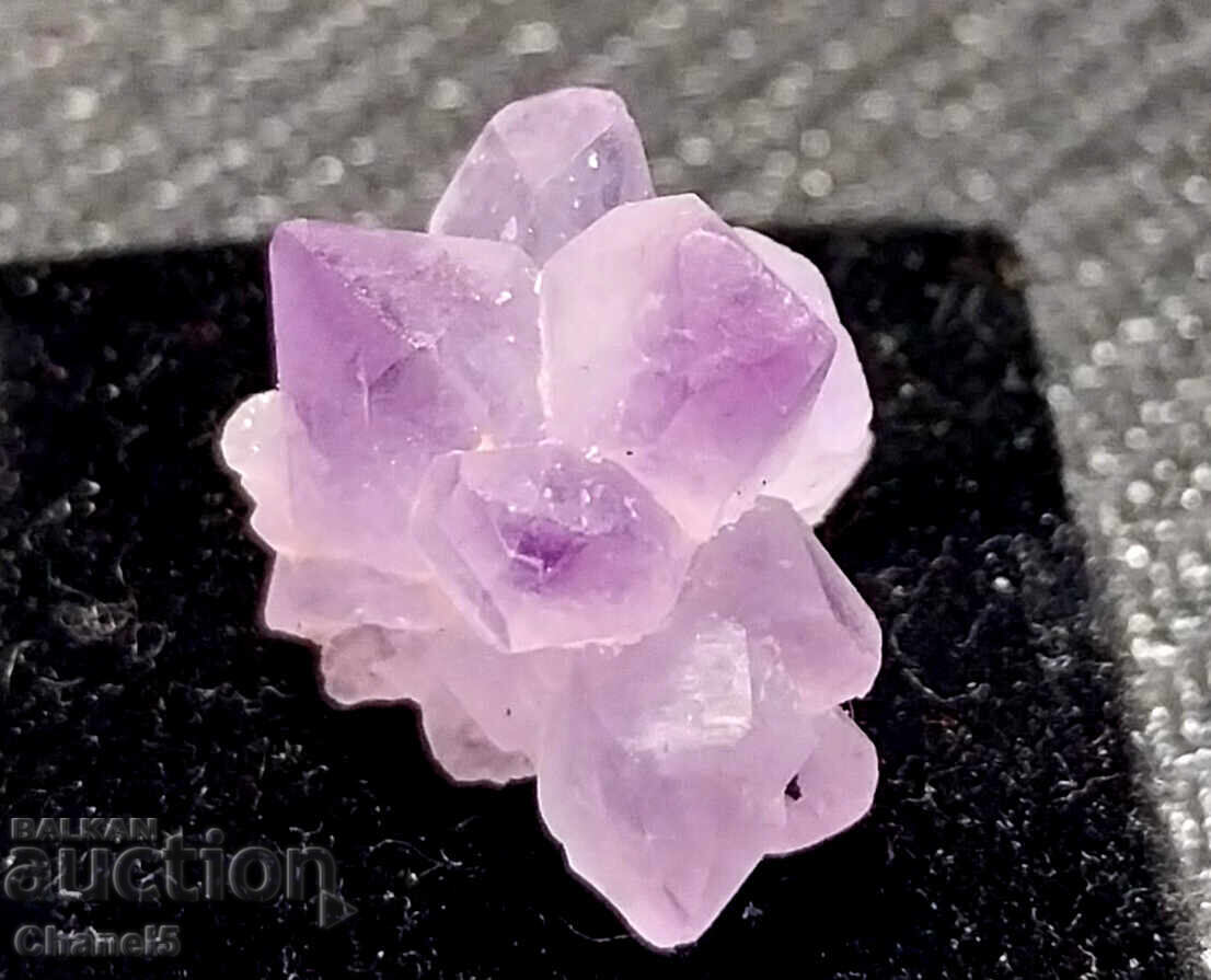 GENTLE AMETHYST CRYSTALS FORMATION - (681) - 5 GENTLE AMETHYST CRYSTALS FORMATION - (681) - 5