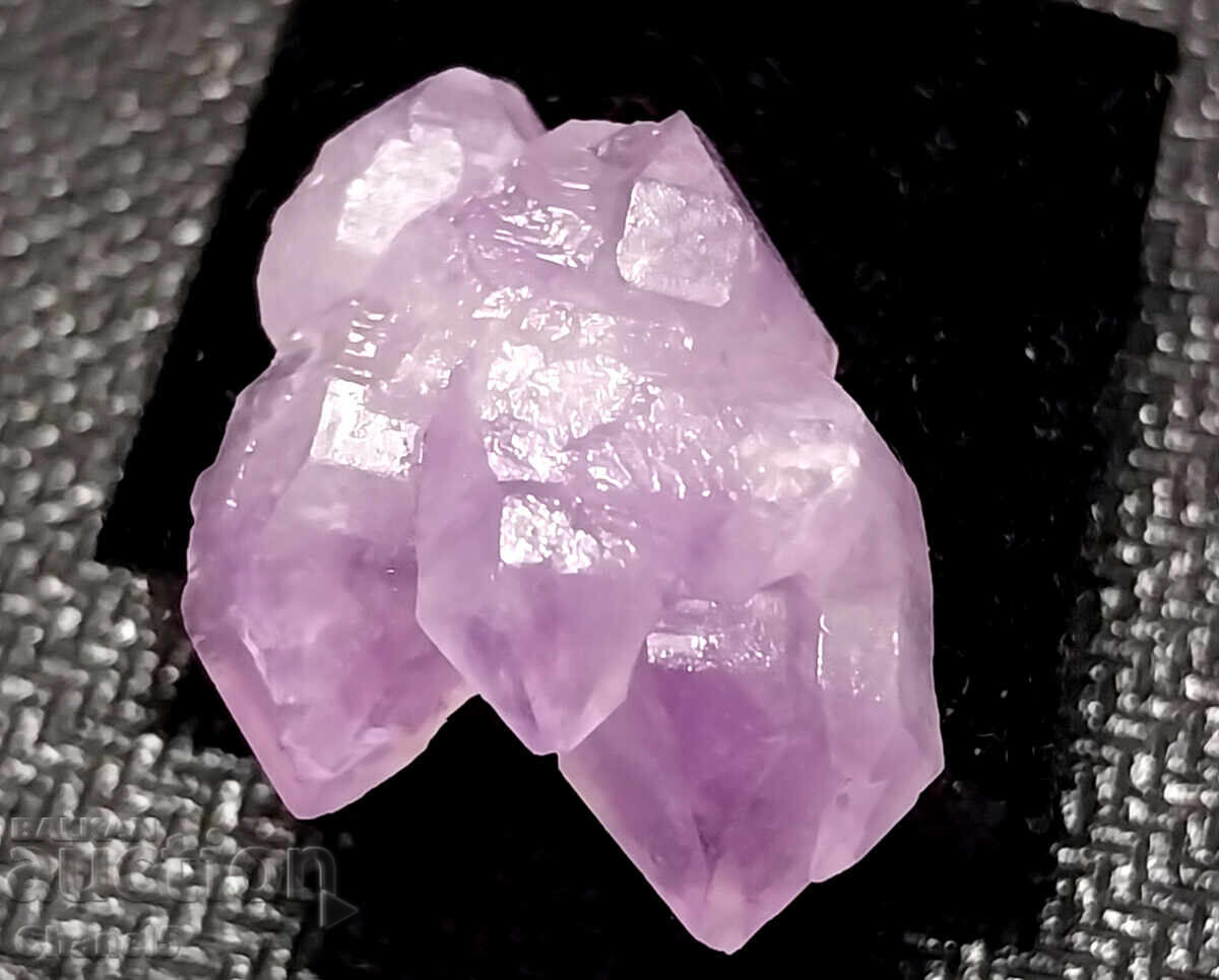 GENTLE AMETHYST CRYSTALS FORMATION - (684) with price 22.00 BGN | € 11.25 GENTLE AMETHYST CRYSTALS FORMATION - (684) with price 22.00 BGN | € 11.25