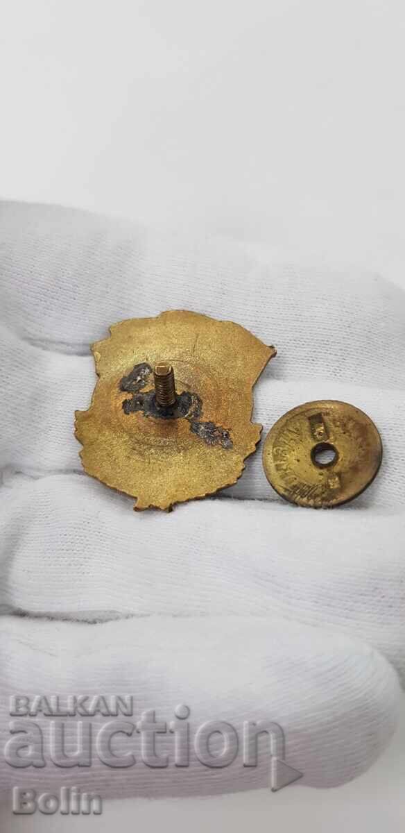 Early sign, badge Dimitrovgrad 1951 Mother-in-law - Stalin - 5 Early sign, badge Dimitrovgrad 1951 Mother-in-law - Stalin - 5