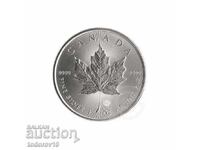 1 oz Silver Maple Leaf - 2025